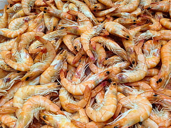Pile of Cooked Raw Shrimp Seafood