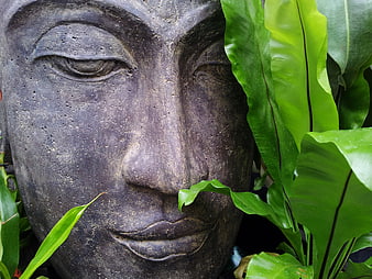 Close-up of Stone Buddha Face with Green Fern Leaves