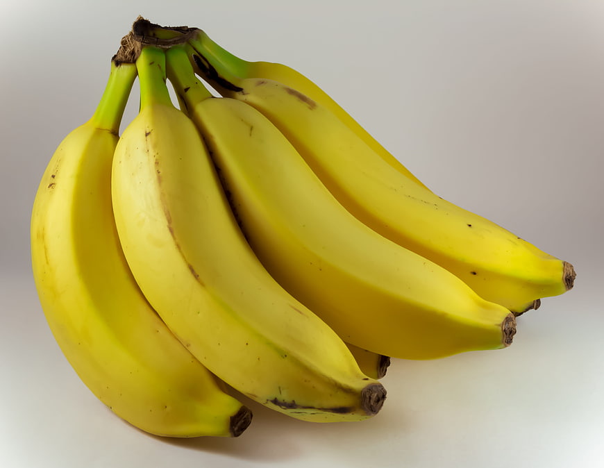 Fresh Yellow Bananas on White Background