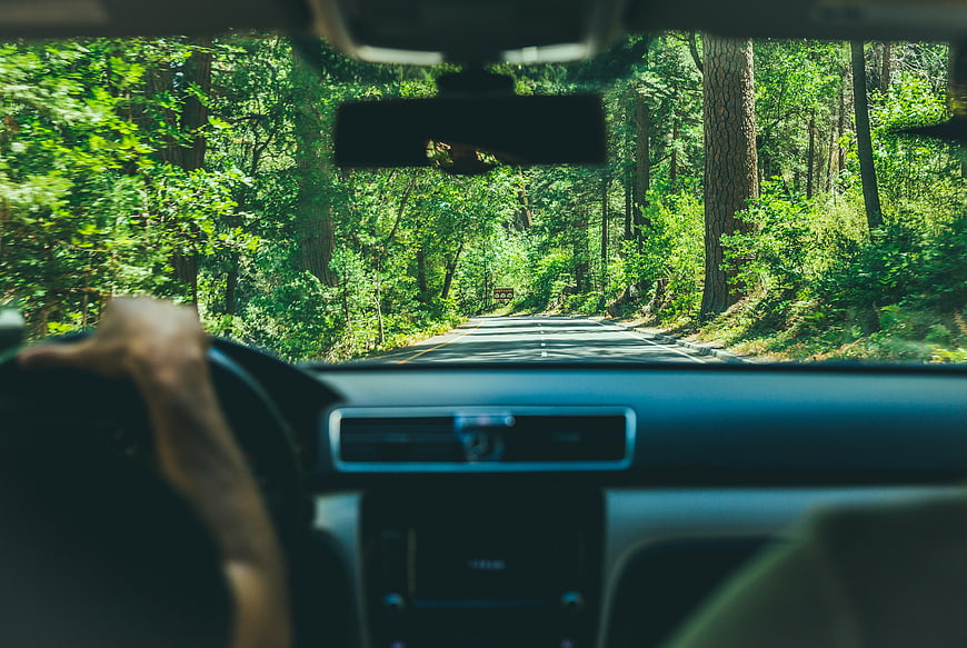 POV Driving Through Forest Road in Summer