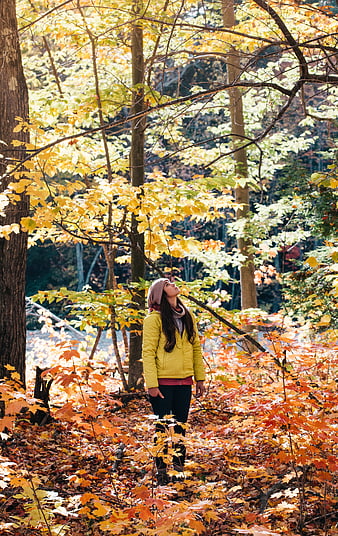 Woman in Yellow Jacket Looking Up in Autumn Forest