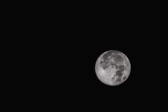 Full Moon in Black Night Sky