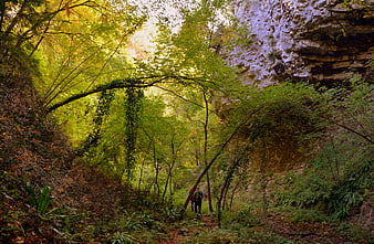 Hikers walking on a forest trail near a limestone cliff
