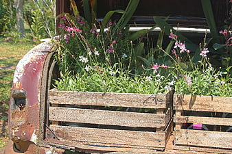 Rusty vintage car trunk repurposed as rustic garden planter