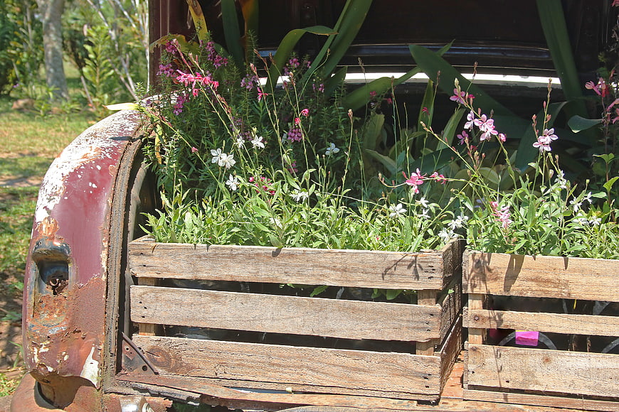 Rusty vintage car trunk repurposed as rustic garden planter