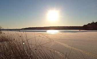 Sunset over frozen lake with reeds in foreground