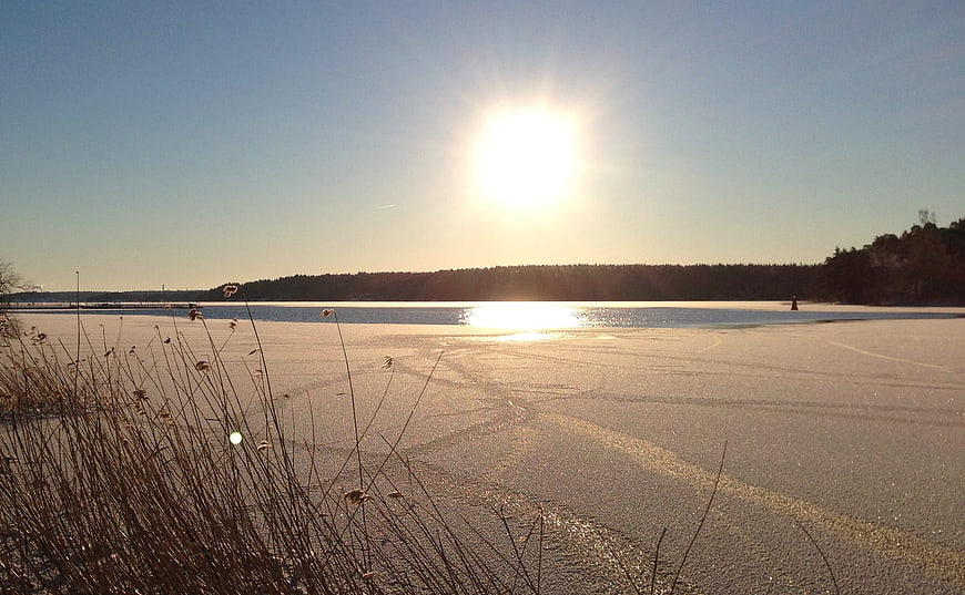 Sunset over frozen lake with reeds in foreground