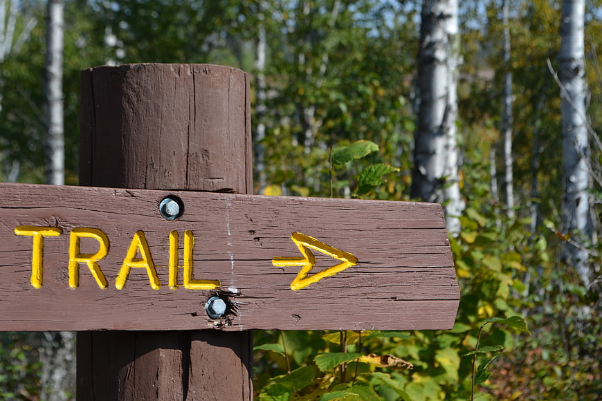 Wooden Trail Sign with Yellow Arrow in Forest