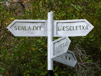 White Hiking Trail Signpost in Green Forest