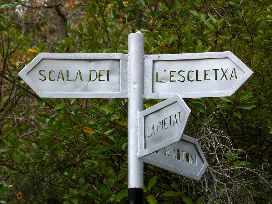 White Hiking Trail Signpost in Green Forest