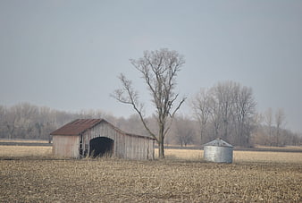 Rustic Covered Barn and Silo in Winter Field