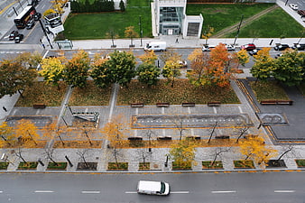 Aerial view of urban park with autumn trees and city streets