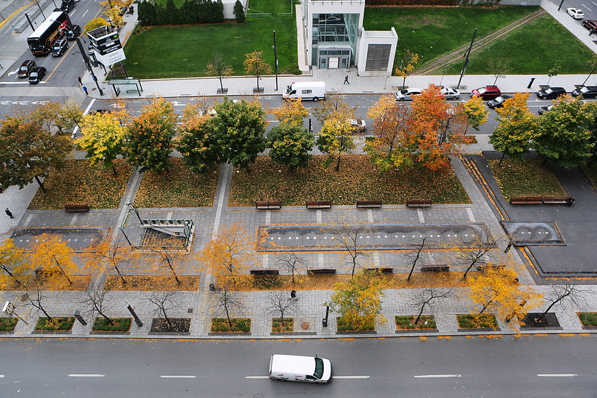 Aerial view of urban park with autumn trees and city streets