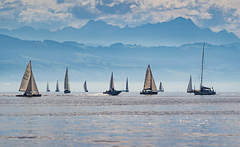 Sailboats Racing On Lake Constance With Mountain Backdrop