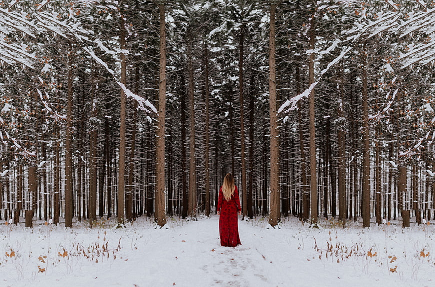 Woman in Red Dress Walking in Snowy Pine Forest