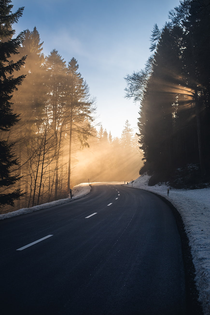 Winding Forest Road with Golden Sunbeams and Snow