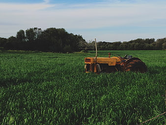 Old Yellow Tractor in Green Field