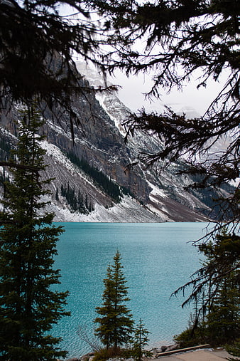 Turquoise alpine lake framed by pine trees and snowy mountains