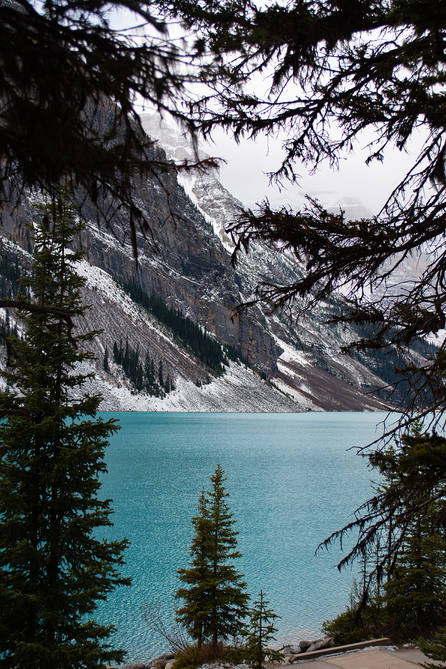 Turquoise alpine lake framed by pine trees and snowy mountains