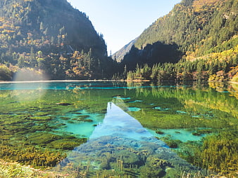 Crystal clear turquoise lake with underwater trees in autumn mountains