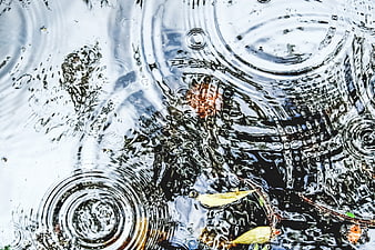 Raindrops Creating Ripples in a Puddle with Leaves