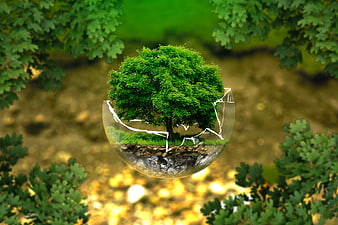 Surreal tree inside cracked glass sphere symbolizing fragile nature