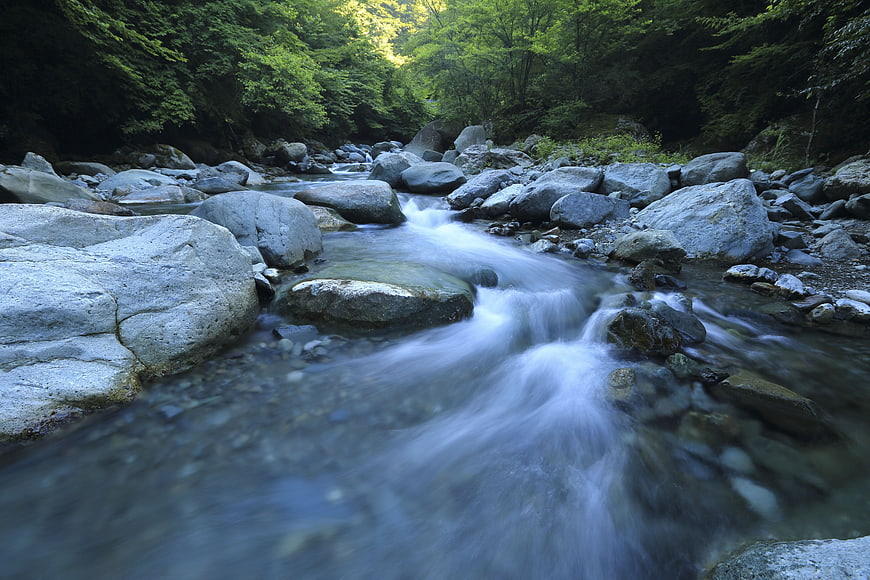 Serene Forest Stream Flowing Over Smooth Rocks
