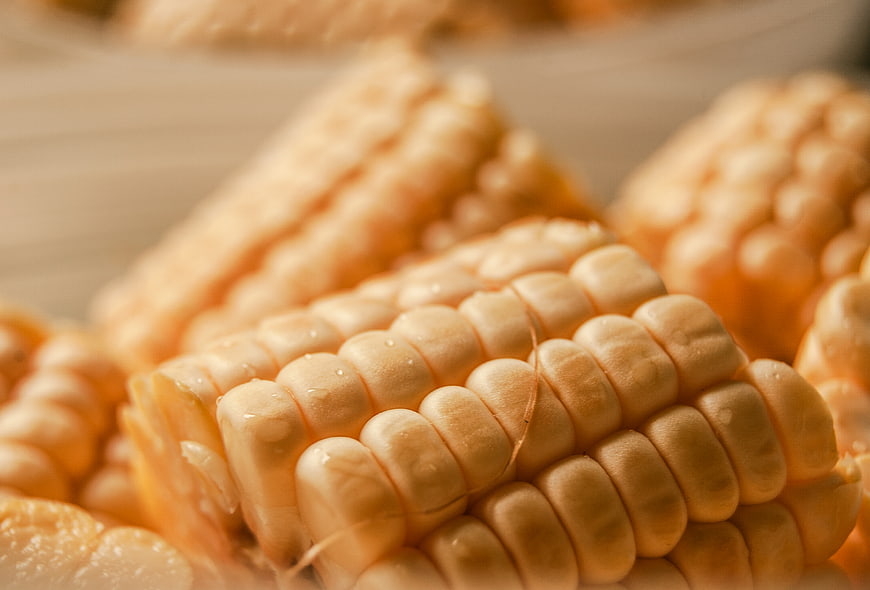 Close-up of Fresh Yellow Corn on the Cob
