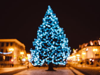 Abstract Blue Christmas Tree Bokeh Lights at Night