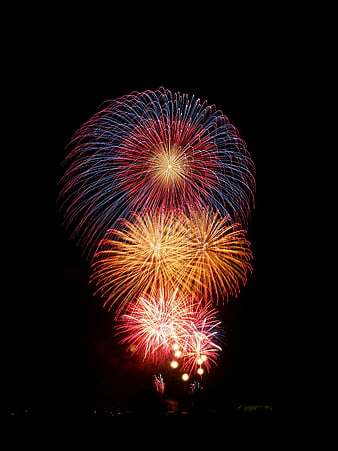Colorful Fireworks Display in Night Sky