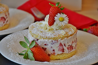 Layered Strawberry Cream Cake with Daisy and Powdered Sugar