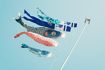 Japanese Koinobori Carp Streamers Flying in Blue Sky