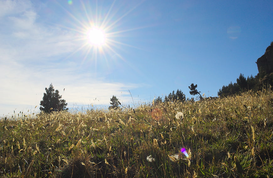 Sunlit Mountain Meadow with Tall Grass and Blue Sky