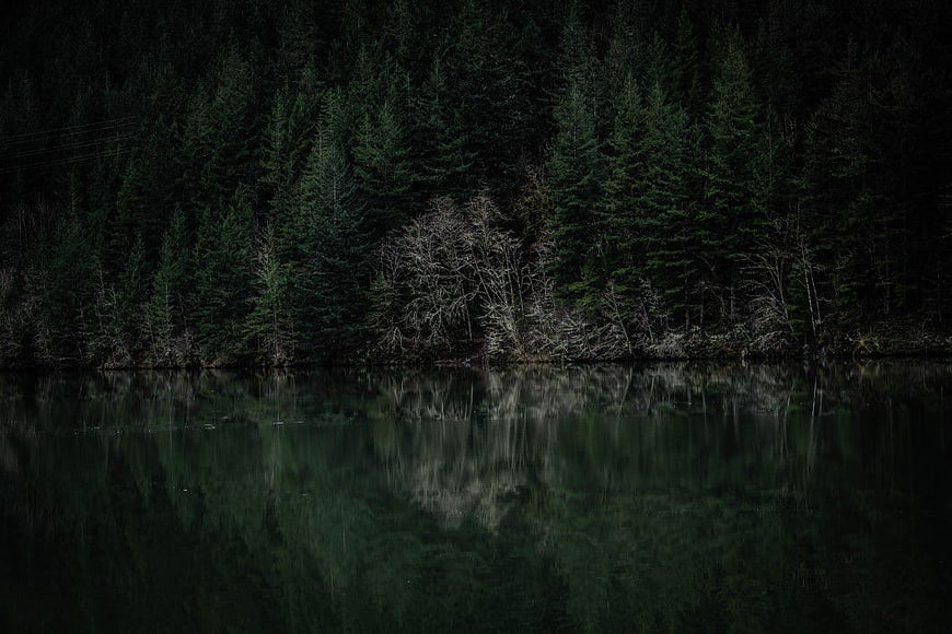 Dark moody forest lake reflection at dawn