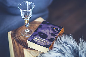Book and wine glass on wooden stump with fur