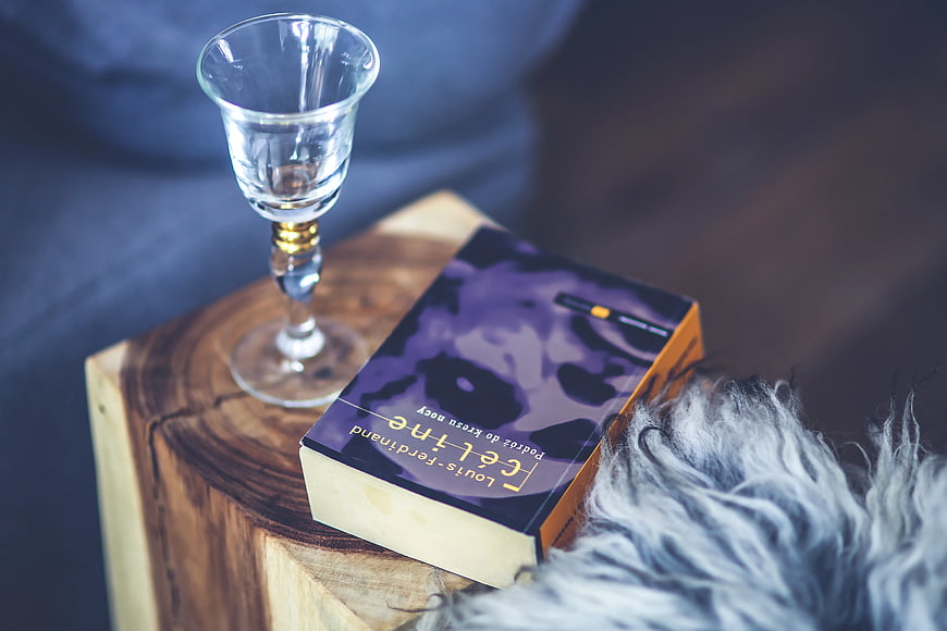 Book and wine glass on wooden stump with fur