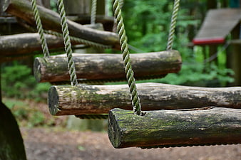 Close-up of wooden logs and ropes on a forest adventure course