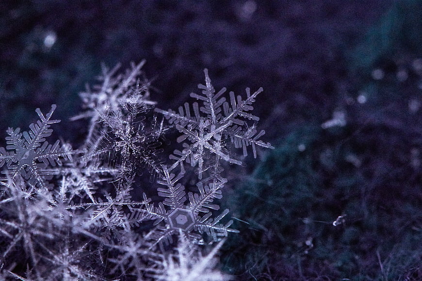 Macro Close-Up of Intricate Snowflakes on Dark Background
