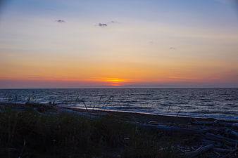 Serene Ocean Sunset with Driftwood and Beach Grass
