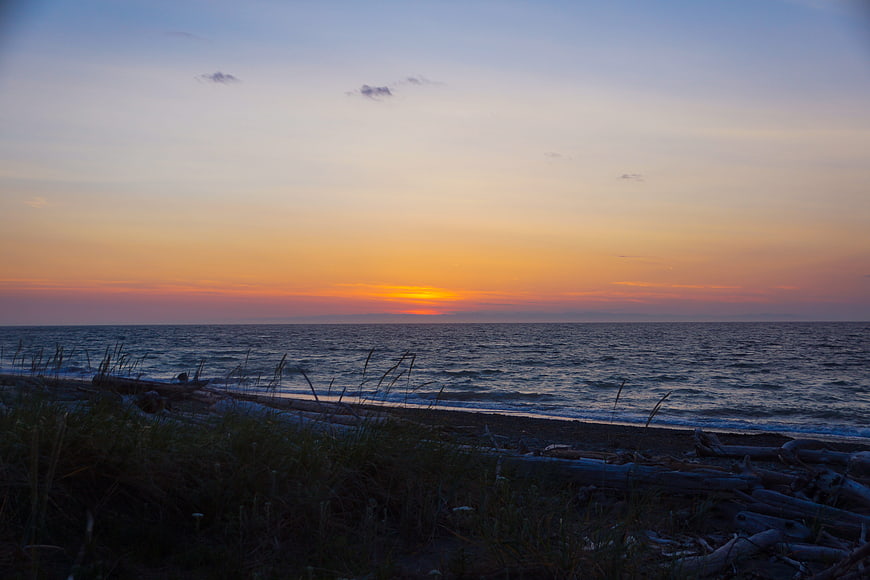 Serene Ocean Sunset with Driftwood and Beach Grass