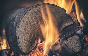 Close-up of burning log with bright orange flames and embers