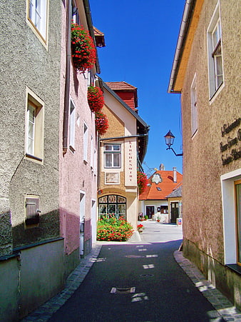 Narrow European Street with Colorful Buildings and Red Flowers