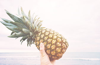 Hand holding pineapple against bright beach ocean background