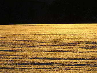 Golden Sunlight Glittering on Snow Landscape