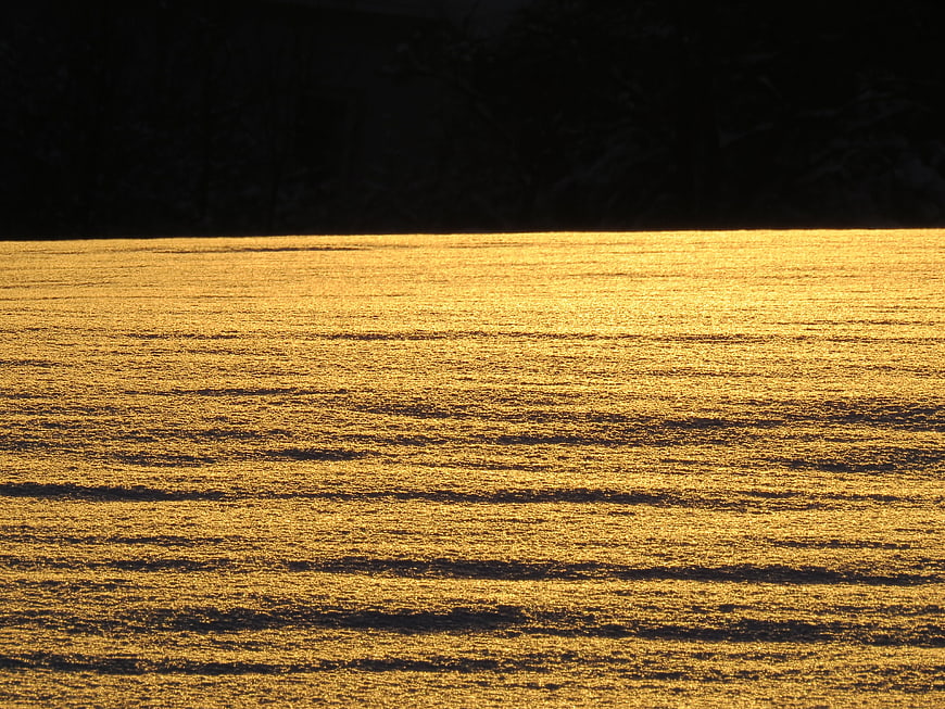 Golden Sunlight Glittering on Snow Landscape