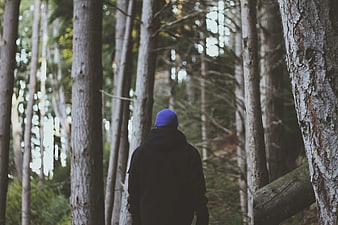 Rear View of Man in Blue Beanie Walking Through Forest