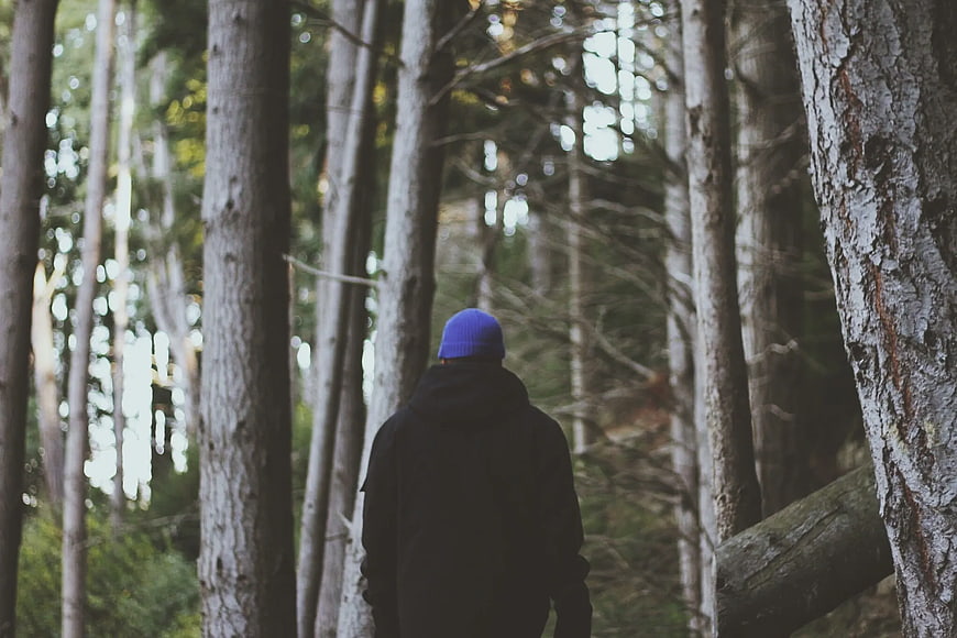 Rear View of Man in Blue Beanie Walking Through Forest