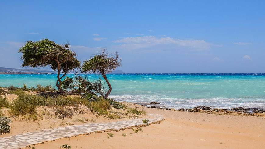 Windy coastal landscape with turquoise sea and twisted trees
