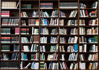 Full wooden bookshelf filled with colorful books in a library