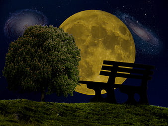 Digital Art of Giant Moon, Tree, and Park Bench at Night